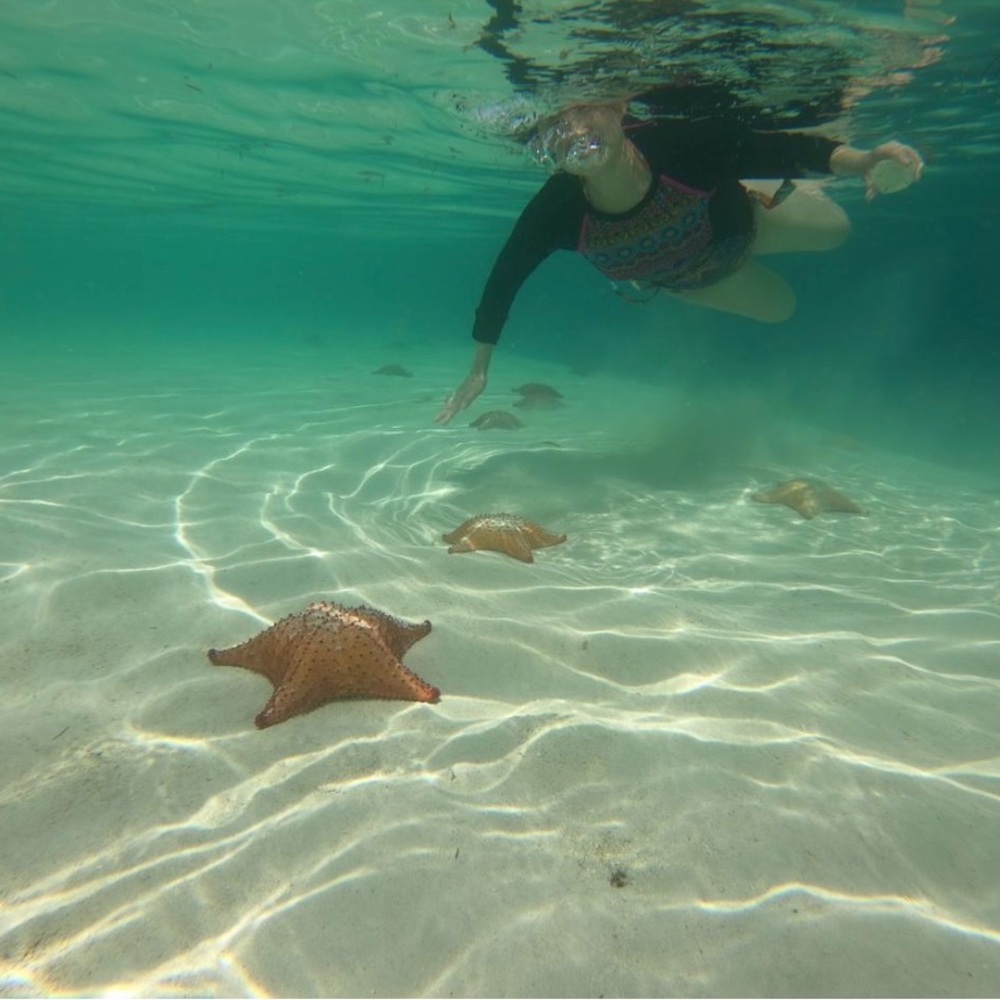 Meet your Posher, Lee-gordon